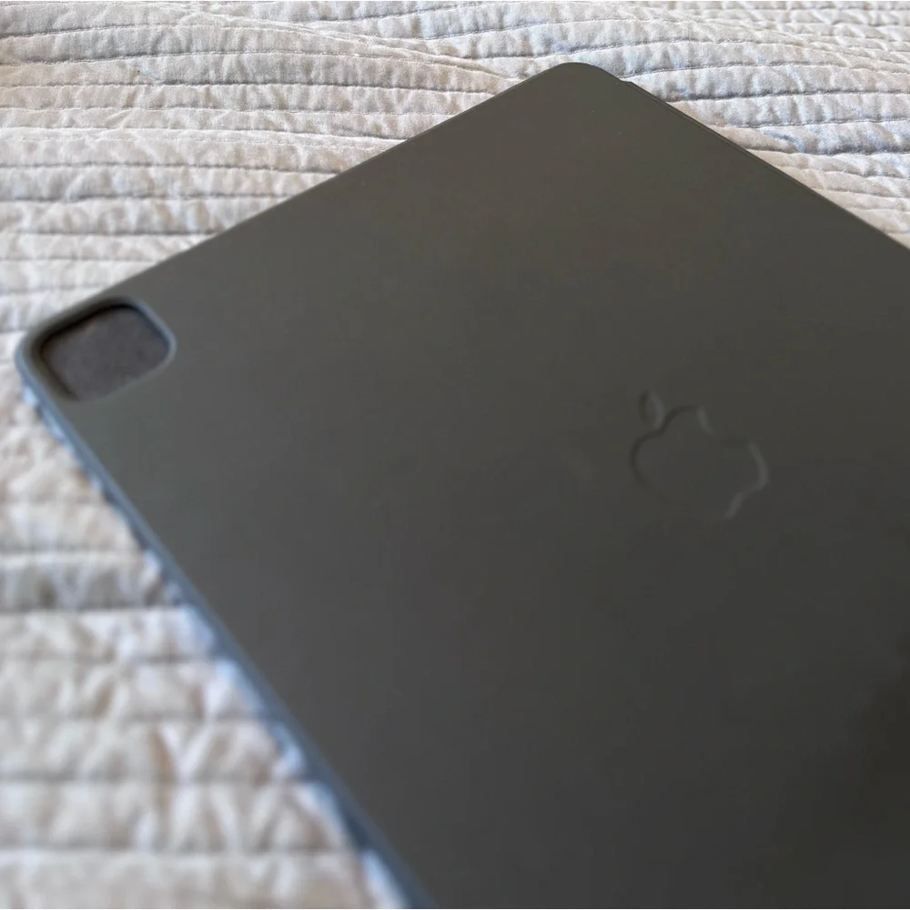 Apple iPad case